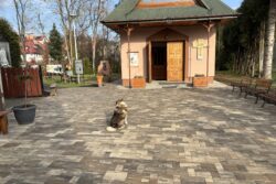 Nowa kostka przed i wokół Kaplicy